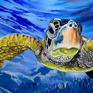 Sea turtle life